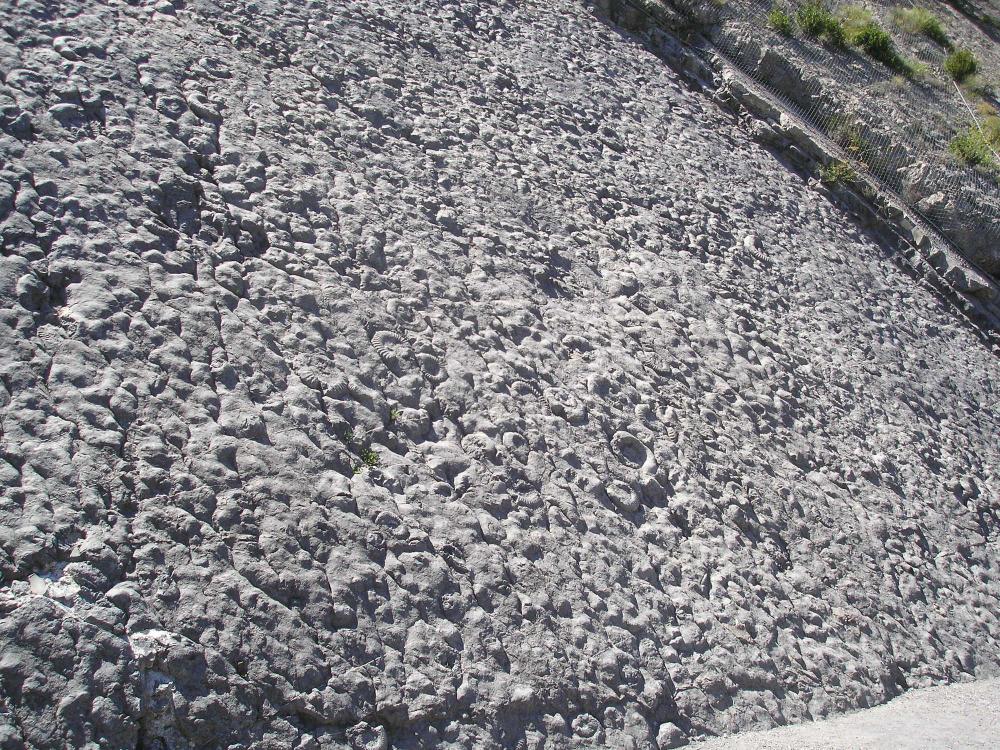 La galerie photos de Geode Expertises à La Garde sol